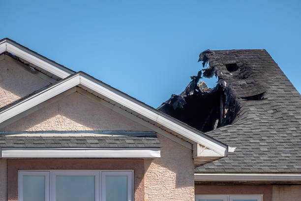Top rated local Content Restoration specialists in Spring Valley, AZ